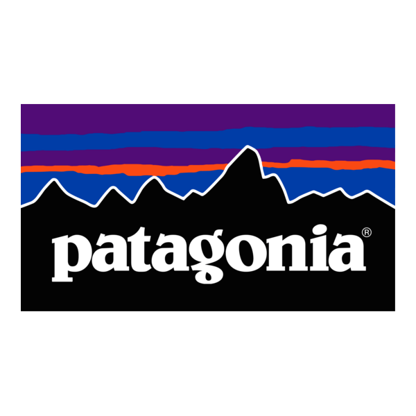 Patagonia brand purpose and sustainability marketing