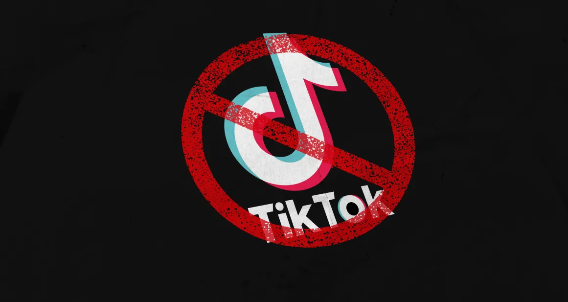TikTok app ban impact on brands